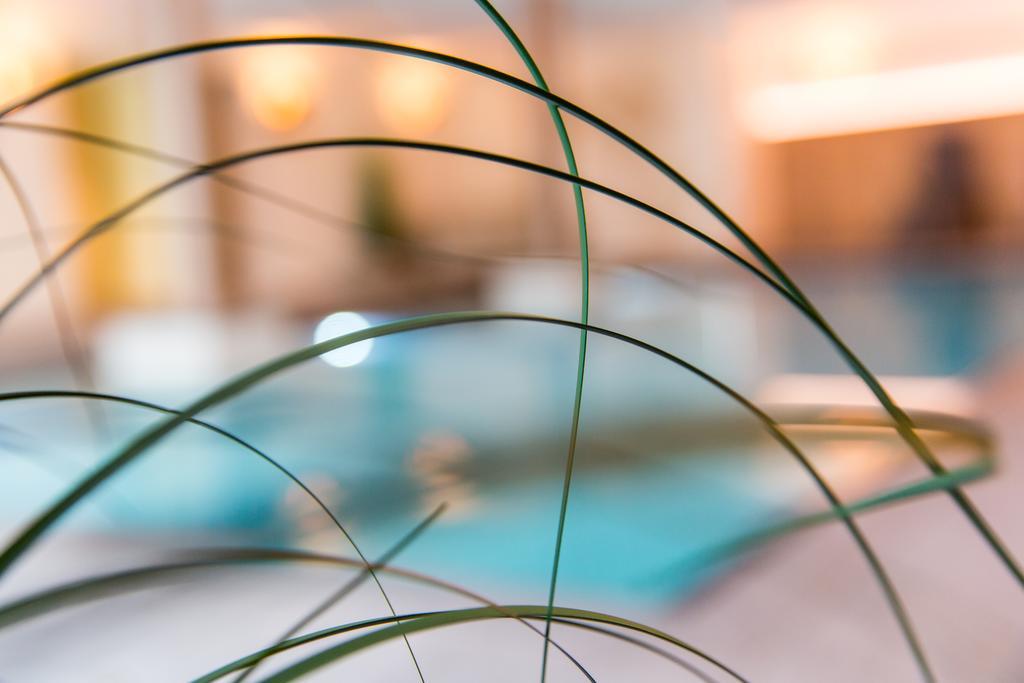 Hotel Falken فالزيس المظهر الخارجي الصورة